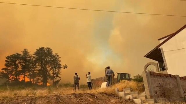 Kocaeli'de çıkan orman yangını büyüyor